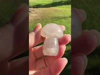 Colorful Fluorite Mushroom Carving #9