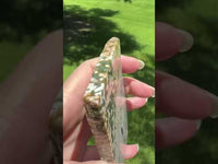 8th Vein Ocean Jasper Slab #96