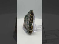 8th Vein Ocean Jasper Slab #50