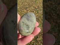 Labradorite Palmstone #31