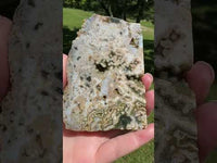 8th Vein Ocean Jasper Slab #131