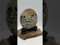 Natural Picture Jasper Slab with Stand #4