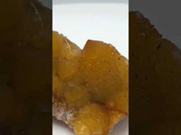 Sunshine Spirit Cactus, Golden Healer Quartz Cluster, South Africa #2