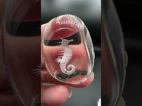 Beautiful Seahorse Garden Quartz Inner Scene Carving #7