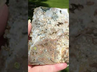 8th Vein Ocean Jasper Slab #97