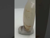 Designer Dendritic Agate Cabochon #2