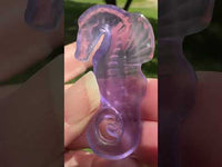 Fluorite Seahorse with Case