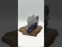 Fluorite Dragon Head Carving #7