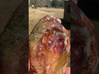 Savannah River Agate Specimen 1b