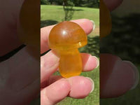 Colorful Fluorite Mushroom Carving #6