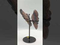 Fluorite Butterfly Wings & Stand #3
