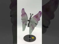 Fluorite Butterfly Wings & Stand #1
