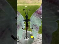 Fluorite Butterfly Wings & Stand #1