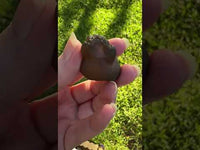 Panda Agate aka Truffle Chalcedony #10