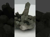 Chlorite Included Himalaya Quartz Crystal from Pakistan