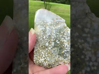 8th Vein Ocean Jasper Slab #77