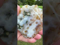 8th Vein Ocean Jasper Slab #120