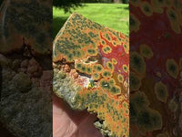 8th Vein Ocean Jasper Slab #105