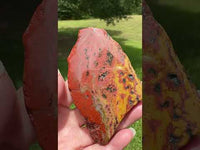 8th Vein Ocean Jasper Slab #63