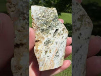 8th Vein Ocean Jasper Slab #129