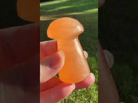 Peach Selenite Mushroom #5