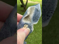 Blue Ridge Coral Heliopora Coerule Tower #2