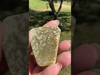 Ocean Jasper Free-form #12