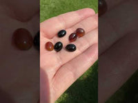 Brown Agate 10x8mm Oval