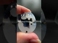 Designer Dendritic Agate Cabochon #11