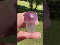 Fluorite Mushroom Carving #22
