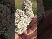 Selenite "Desert Rose," Samalayuka Desert, Chihuahua, Mexico #1