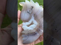 Druzy Agate Geode Carved Native American #4