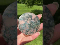 Moss Agate Polished Round Slice #4
