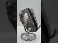 Natural Orthoceras Fossil Specimen #12