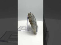 8th Vein Ocean Jasper Slab #38