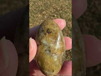 Labradorite Palmstone #29