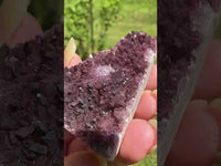 Amethyst from Alacam Mine, Turkey #3