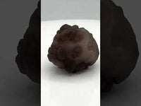 Panda Agate aka Truffle Chalcedony #6