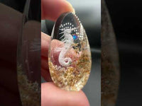 Beautiful Seahorse Garden Quartz Inner Scene with Rainbow Carving #12