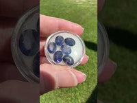 Iolite 9x7mm Oval