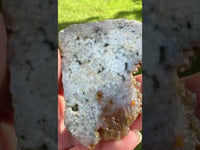 8th Vein Ocean Jasper Slab #106