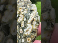8th Vein Ocean Jasper Slab #30