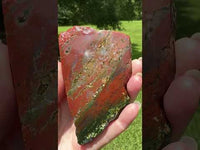 8th Vein Ocean Jasper Slab #89
