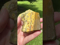 8th Vein Ocean Jasper Slab #79