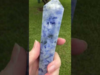 Large Sodalite Scepter #3