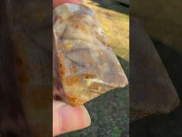 Savannah River Agate Specimen 1j
