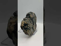 8th Vein Ocean Jasper Slab #19