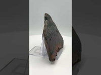 8th Vein Ocean Jasper Slab #17
