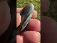 Owyhee Blue Opal Cabochon #25