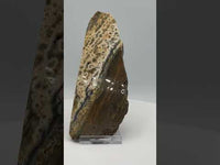 8th Vein Ocean Jasper Slab #15